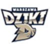 华斯基首发阵容